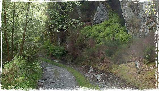 Roman Road Sarn Helen which takes the bike rider down into the Lledr valley