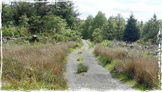 This is a bike ride for fit cyclist, there are some challenging hills on this ride.