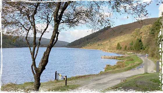 bikes riders take an extended time at Llyn Geirionydd for picnics