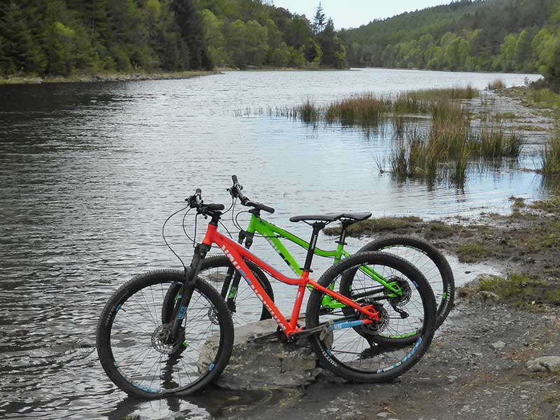 Hardtail Mountain Bikes to rent